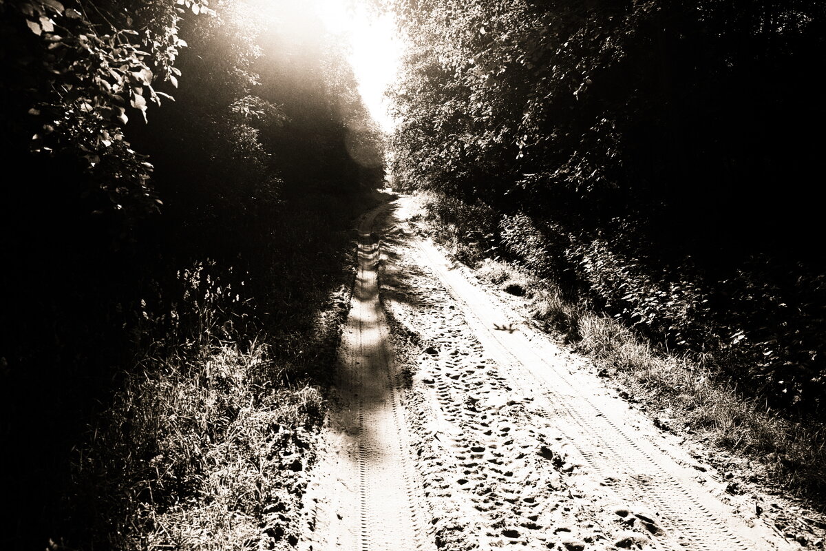 Фотография - Денис Безногов