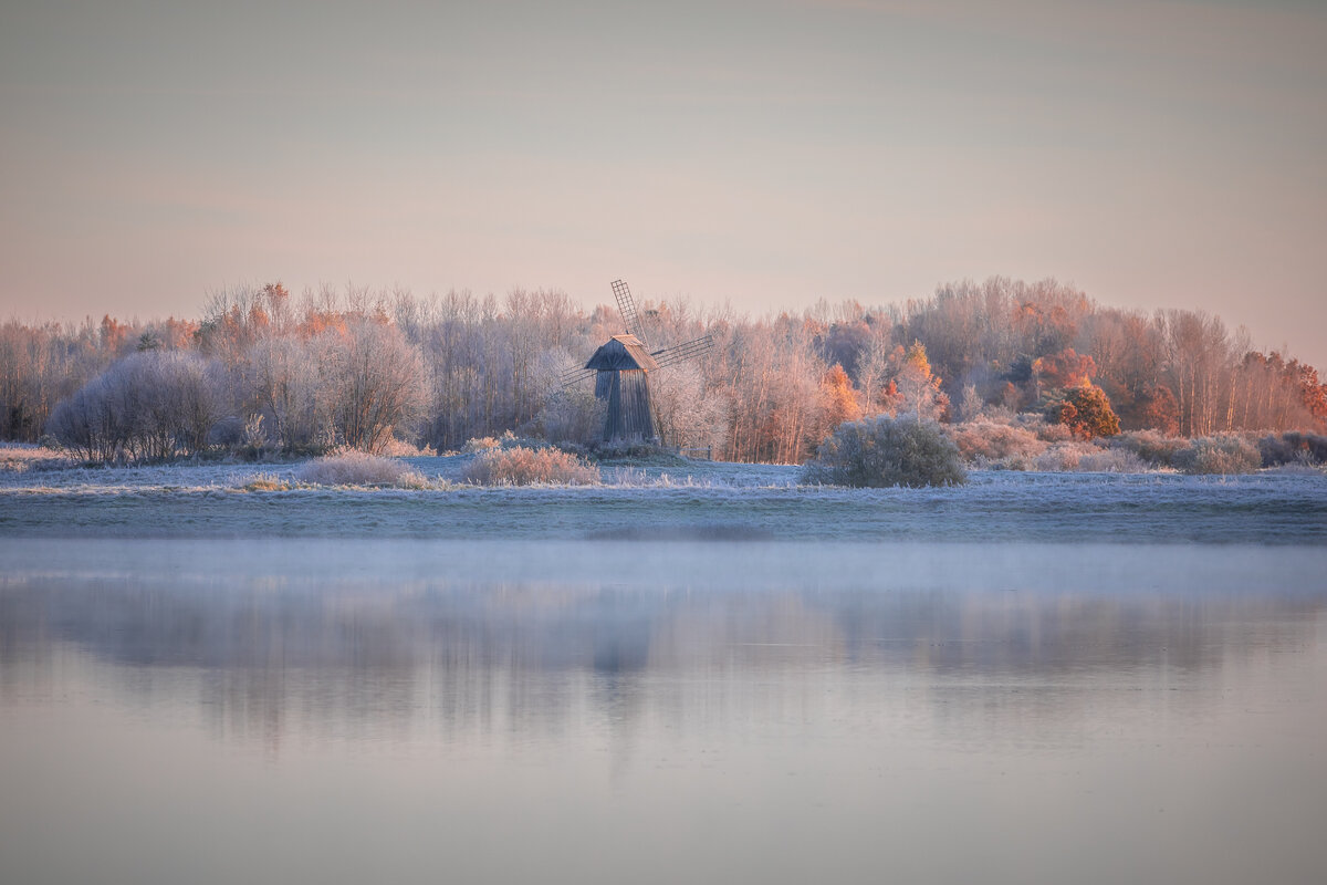 **** - Елизавета .
