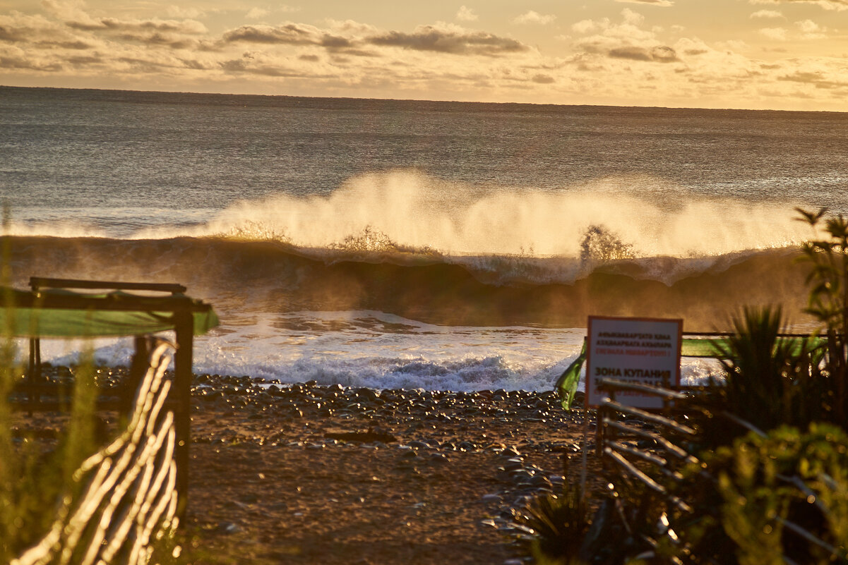 красота - Александр Леонов