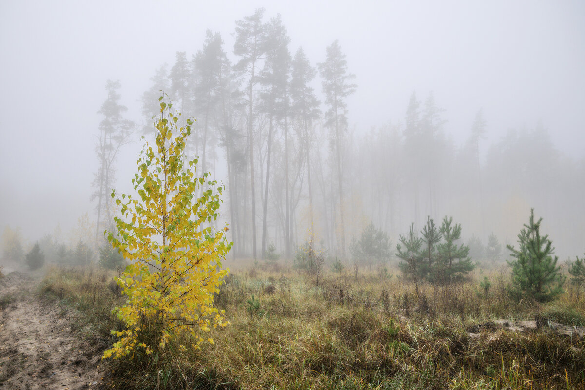 Словно мираж - Валерий VRN
