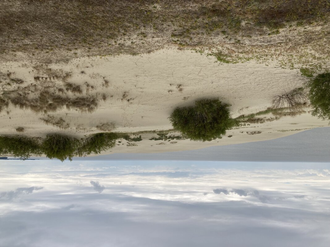 Дюны - Ольга Савельева Дюны - Ольга Савельева