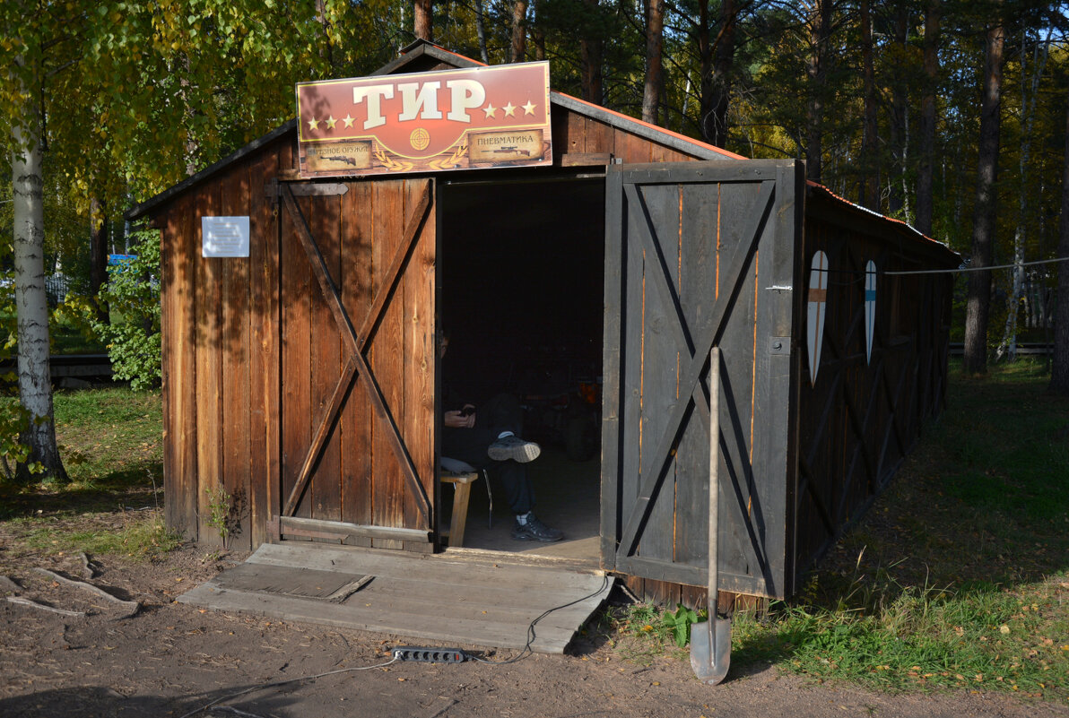 * - Наталья Покацкая