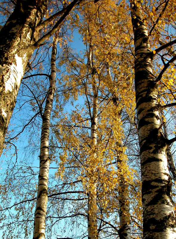Еще недавно было так... - Наталья Лунева Еще недавно было так... - Наталья Лунева