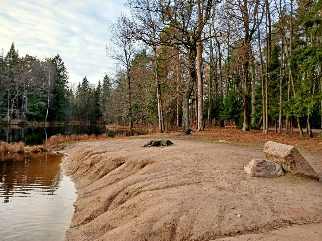 Берег озера. - Лия ☼