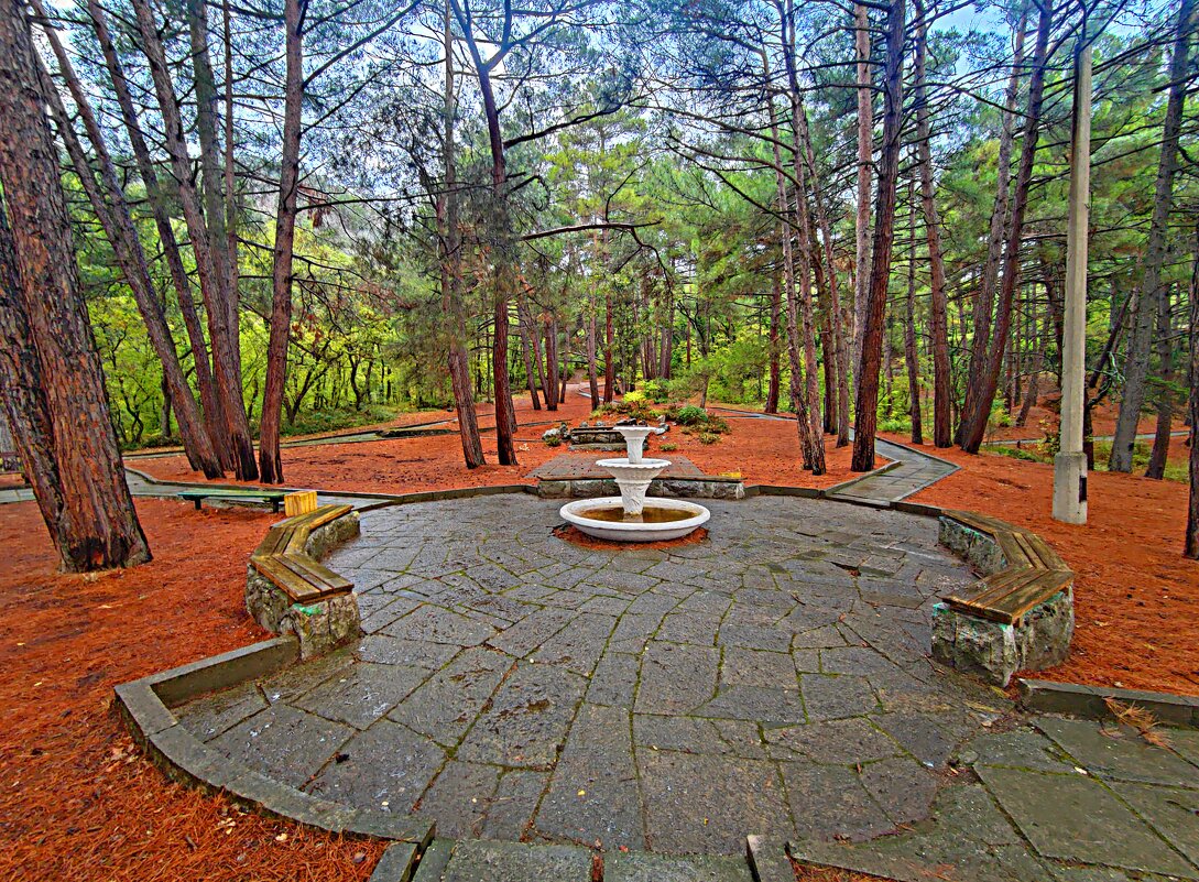 В парке санатория "Горный". - Виктор Мухин