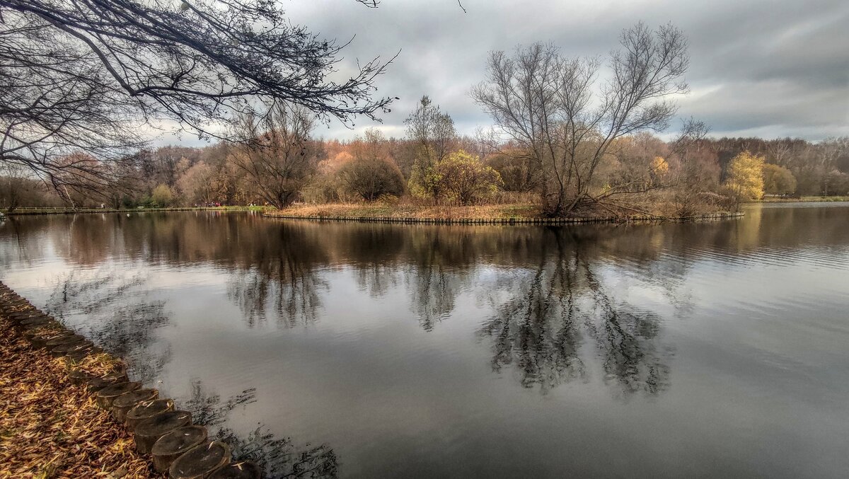 Ноябрь на Терлецких прудах - Наталья Лакомова