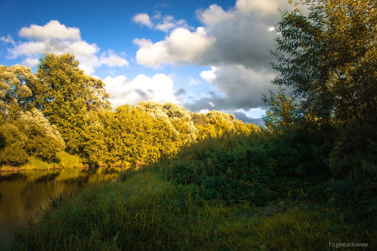 без названия - fogmeadowww m