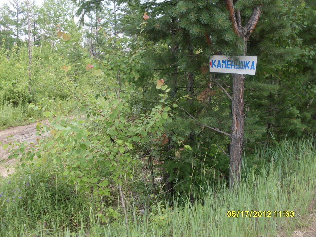 Дорога в лесу - Екатерина Панова