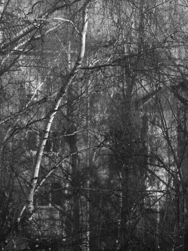 Очертания города - Сергей Сергеев