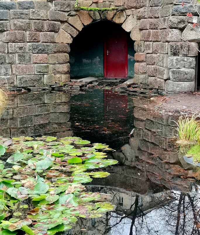 Дверь в портал - Любимова Ольга 