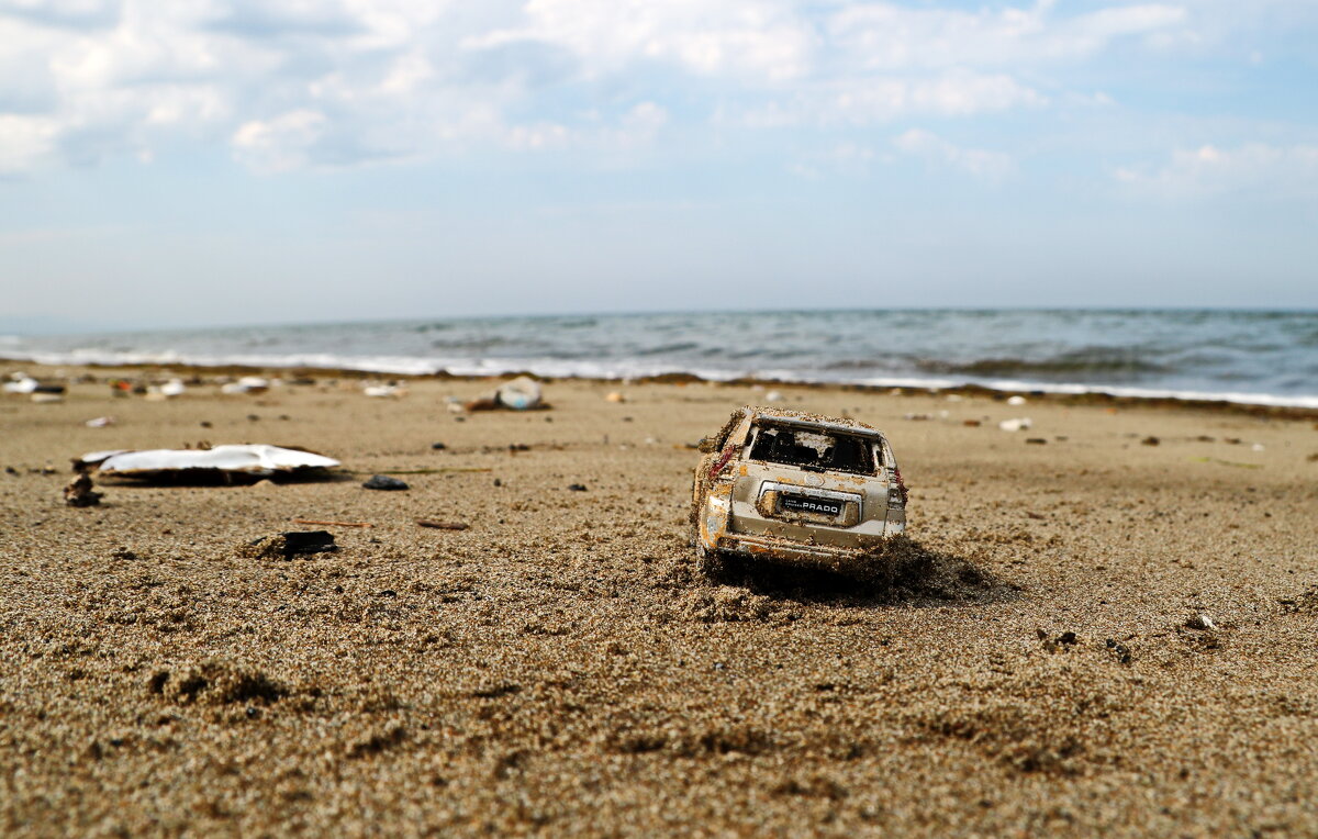 На берегу моря. Сахалин. - Ирина Нафаня На берегу моря. Сахалин. - Ирина Нафаня