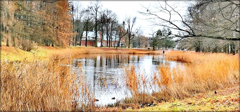 1-й Каскадный пруд - Сергей 