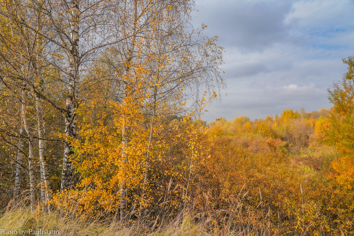 Палитра октября... - Владимир Жданов