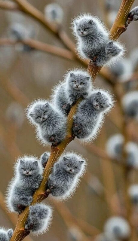 ЧУДО ПРИРОДЫ ! :) - Валерий Кокорев