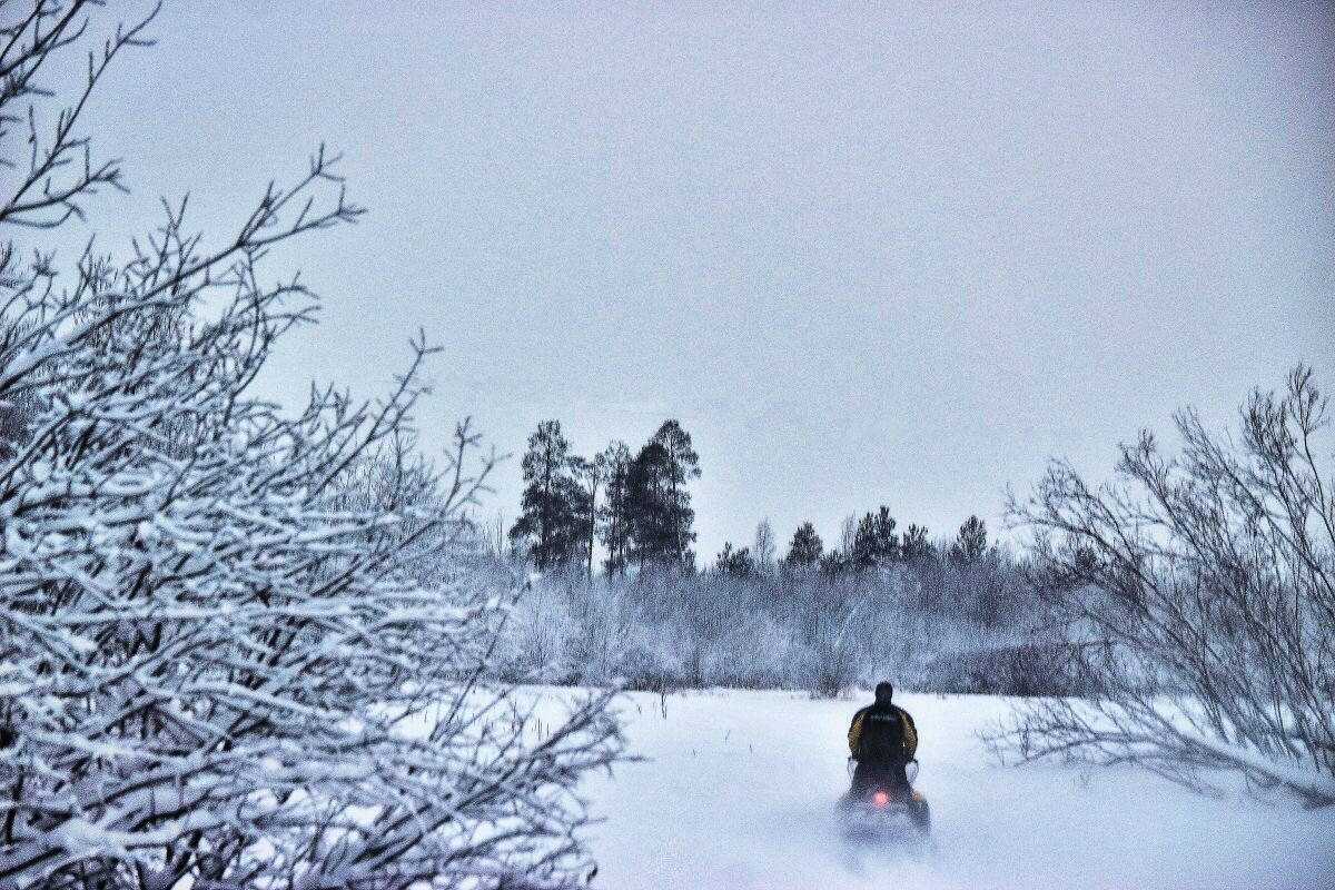 Декабрь...Зимний вечер в снежном царстве протоки Чеускина. - Владимир 