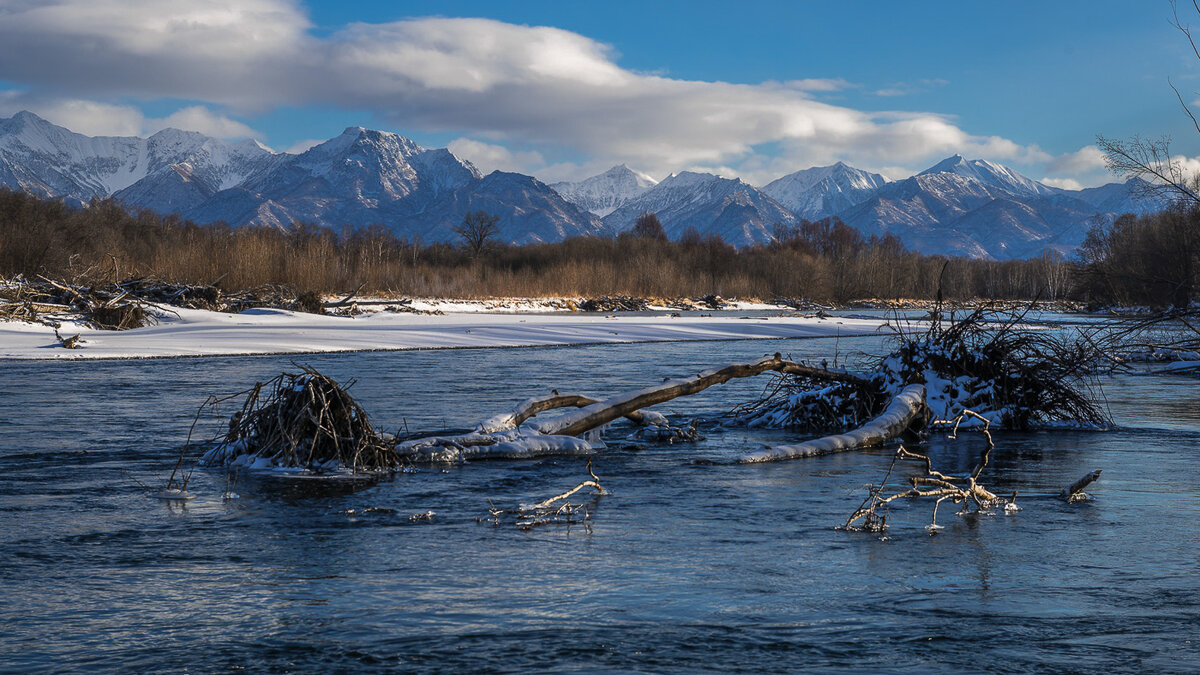 ... - Жора Житников