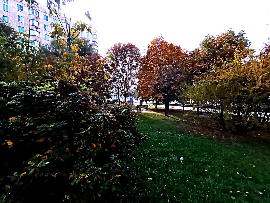 Осень. - Владимир Драгунский