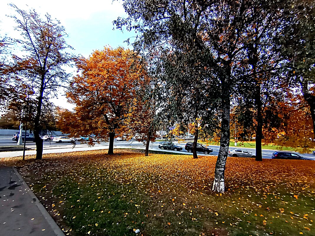 Осень. - Владимир Драгунский Осень. - Владимир Драгунский