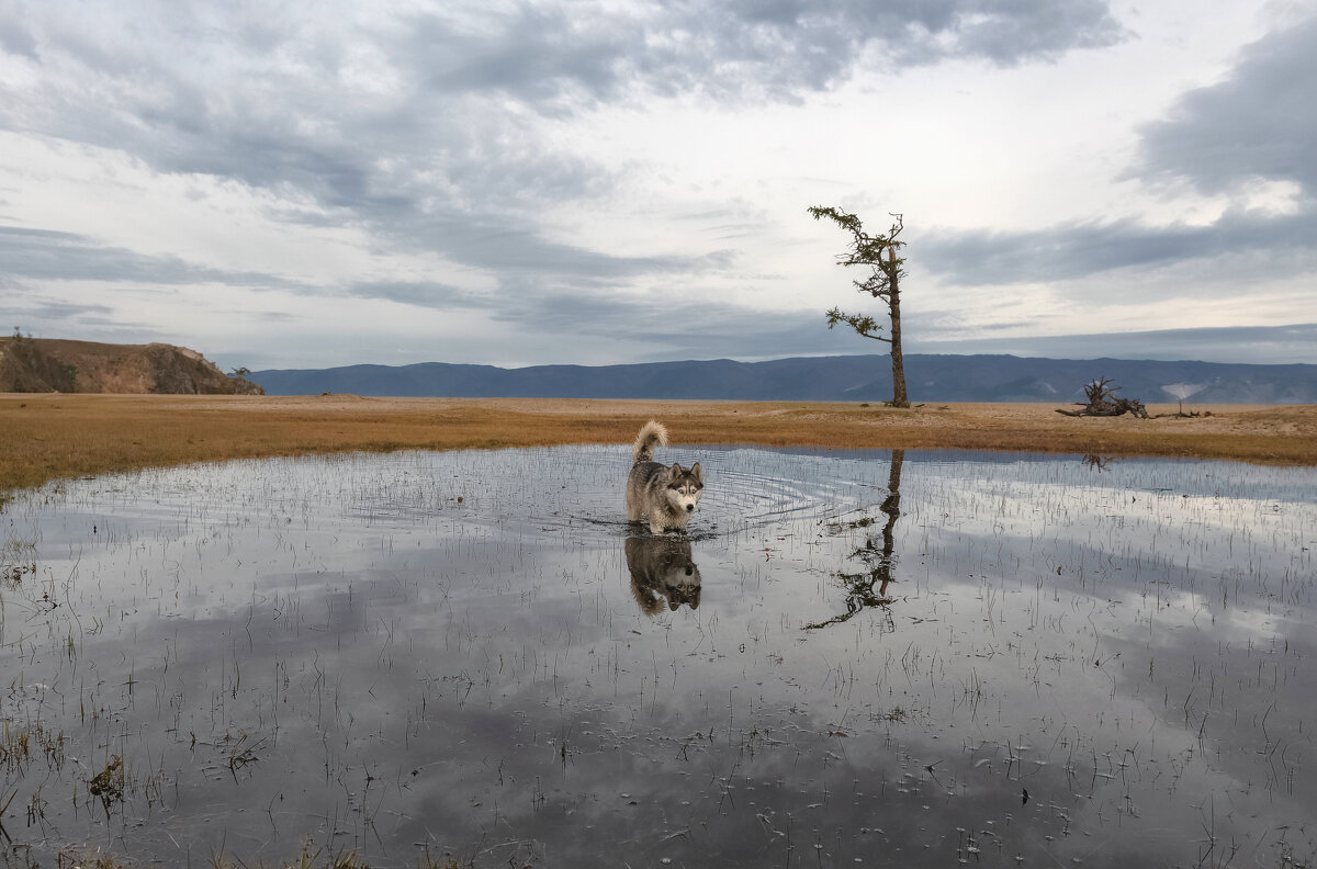 Ольхон - Марина Фомина. Ольхон - Марина Фомина.