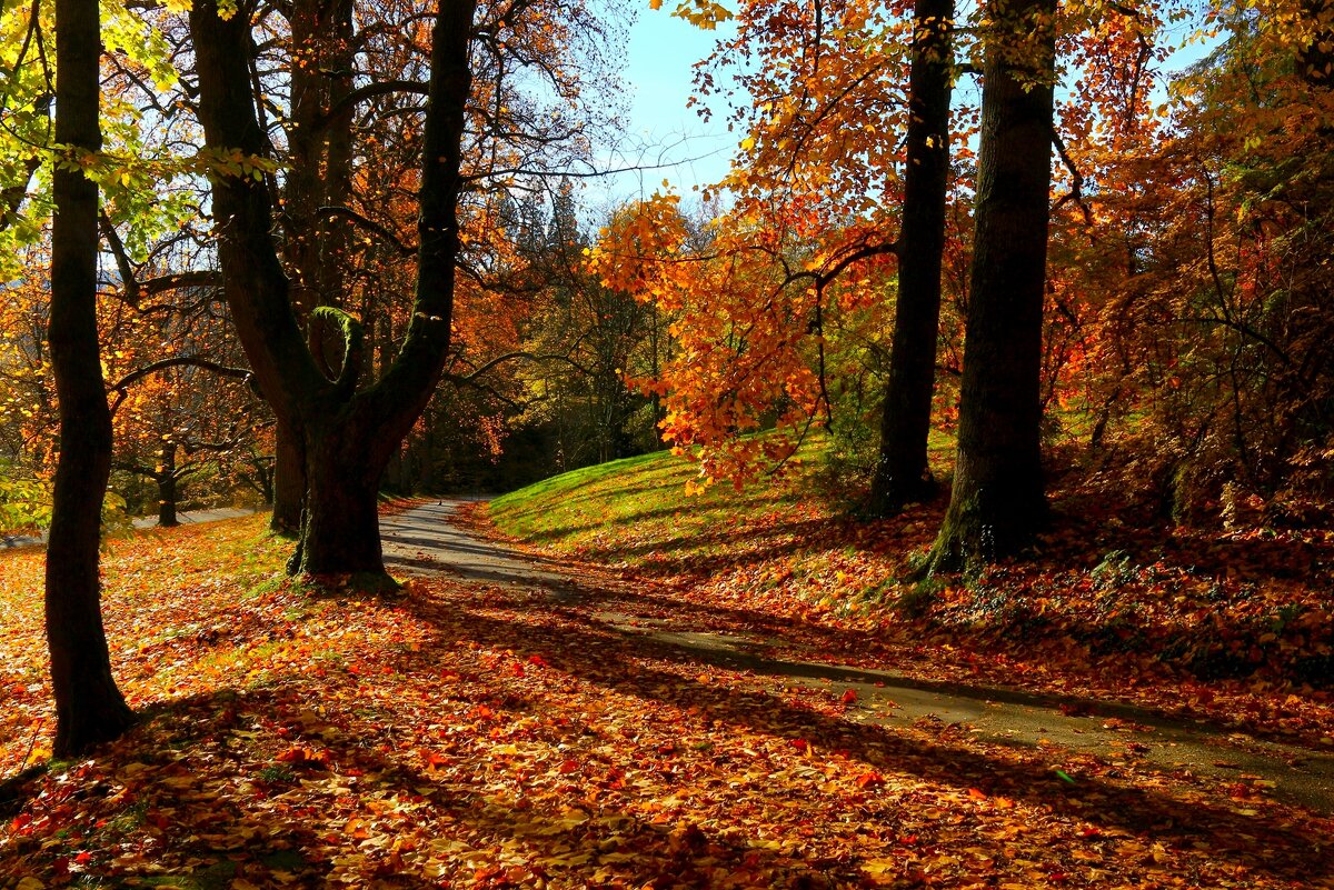 Разгулялась осень - Юрий. Шмаков