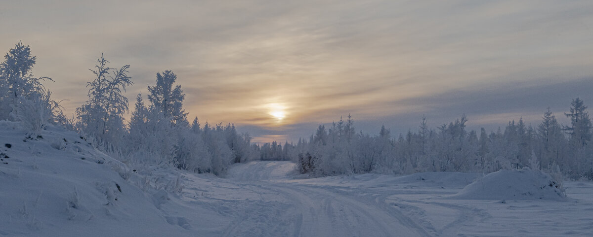 Зимник - Игорь Шабалин
