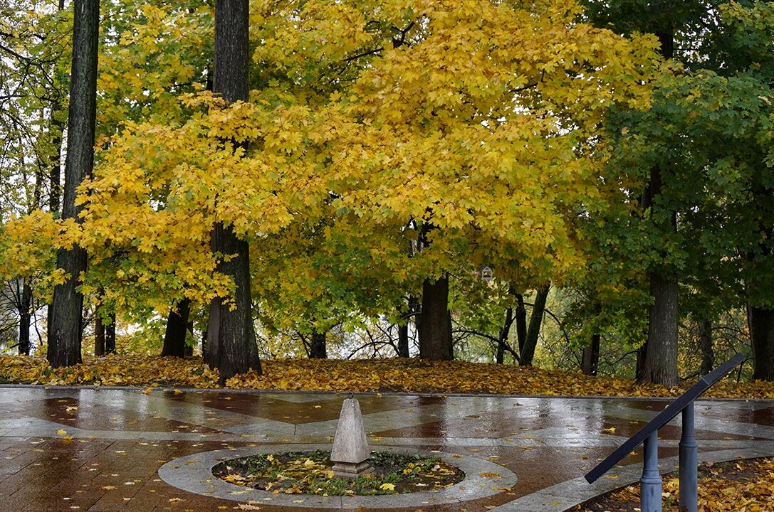 Осень в Царицыно - Ольга 