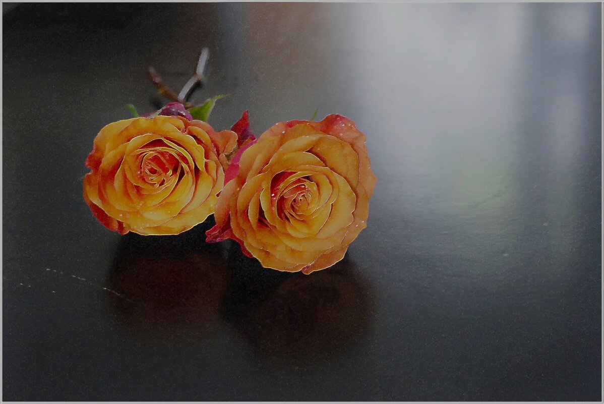 РОЗЫ... - Elvira E. РОЗЫ... - Elvira E.