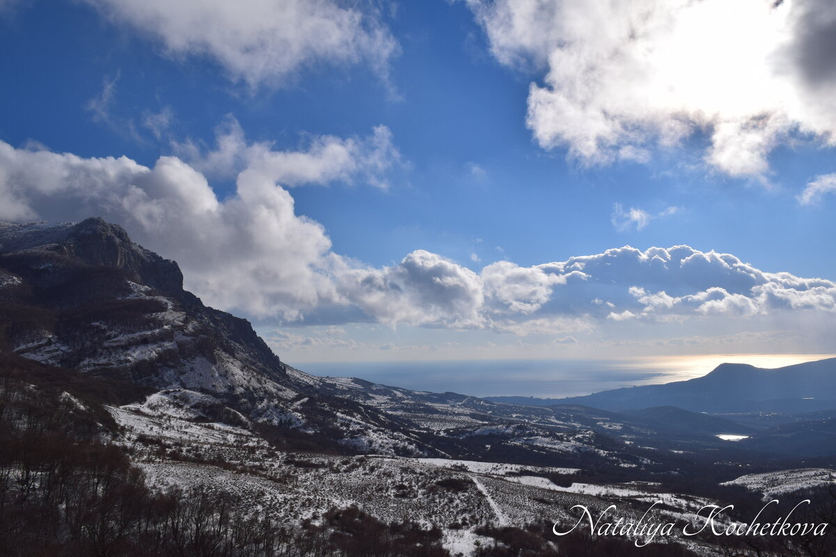 Природа Крыма - Amazing Cosmea