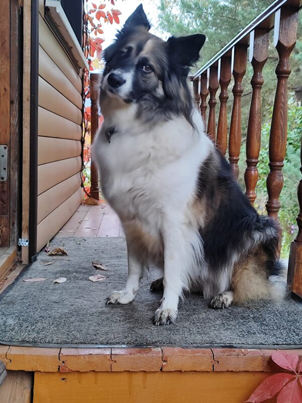 Ося - Наталья 