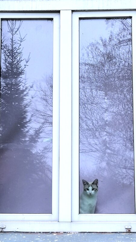 Утро четверга. - Любимова Ольга 