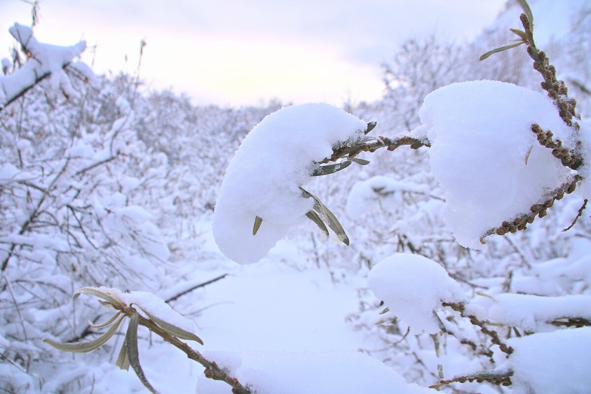 - - Владимир Мигонькин