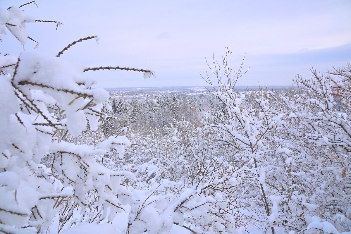 - - Владимир Мигонькин