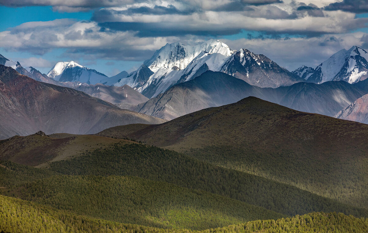 *** - владимир 