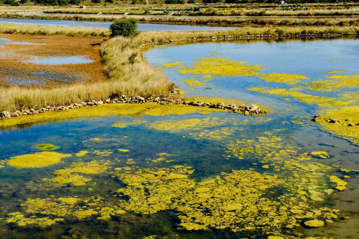 Солончак на острове Нуармутье - Георгий А