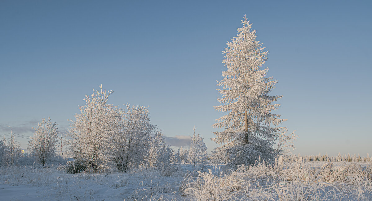 Мороз и солнце - Игорь Шабалин
