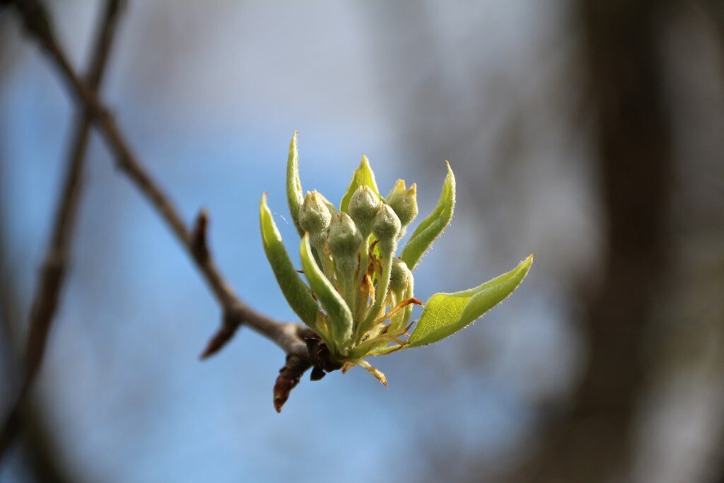 Новая жизнь - Екатерина Леш