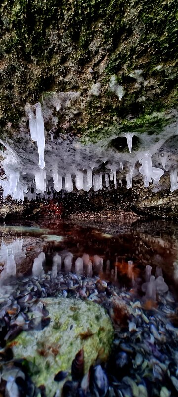 море, сосульки - Ольга Косачова