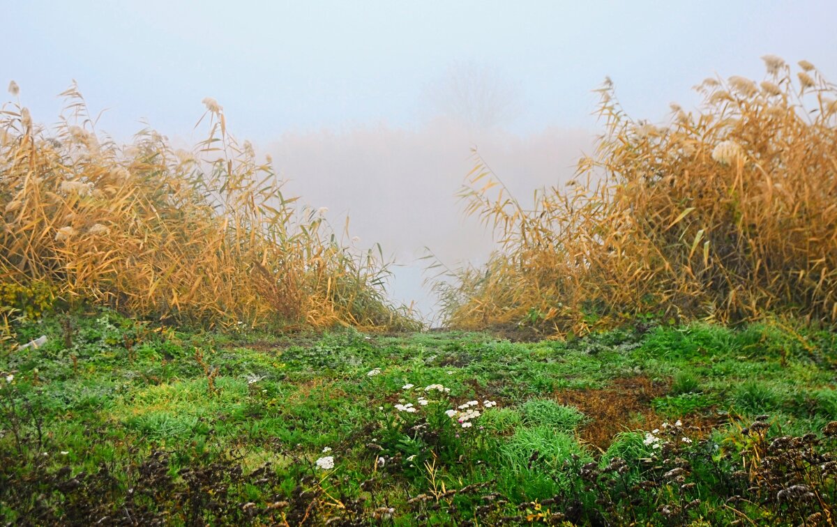 Осень. - Владимир 