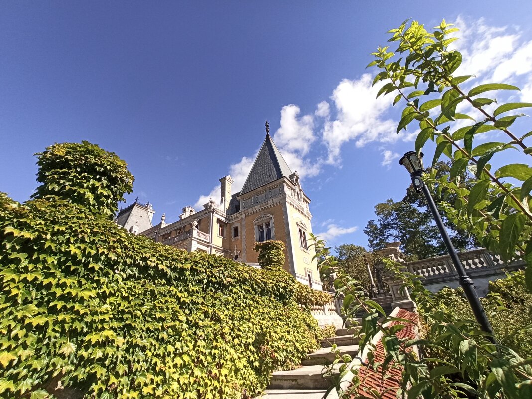 Массандровский парк. Крым. - Галина 