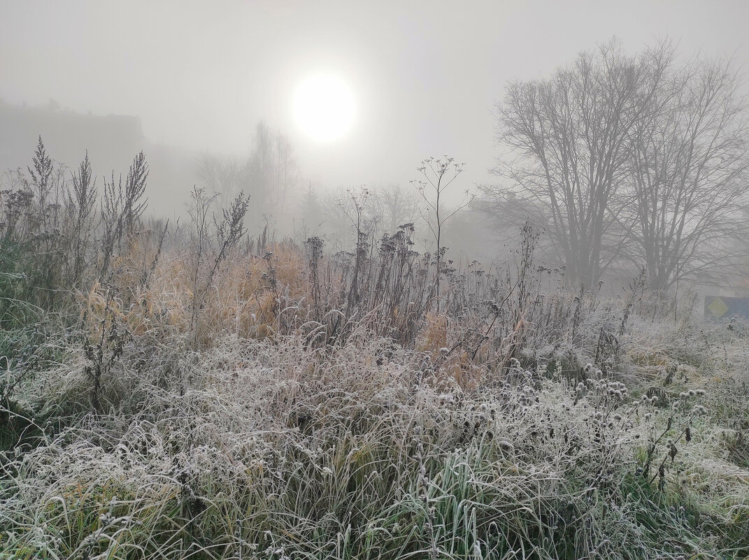 Первое дыхание зимы - Ната Волга