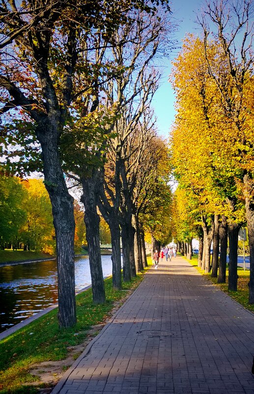 осенняя аллея - Евгений Фролов