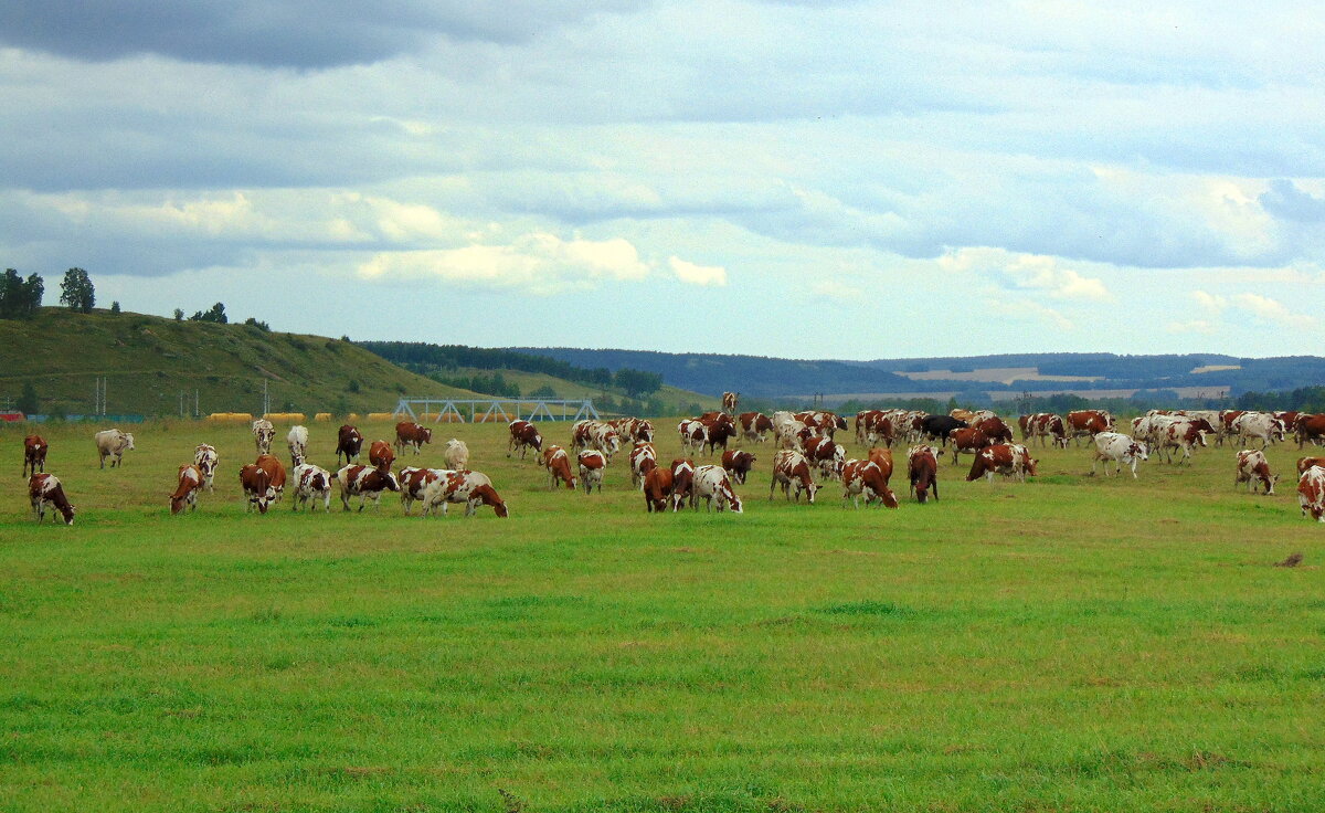 Постараль . - nadyasilyuk Вознюк