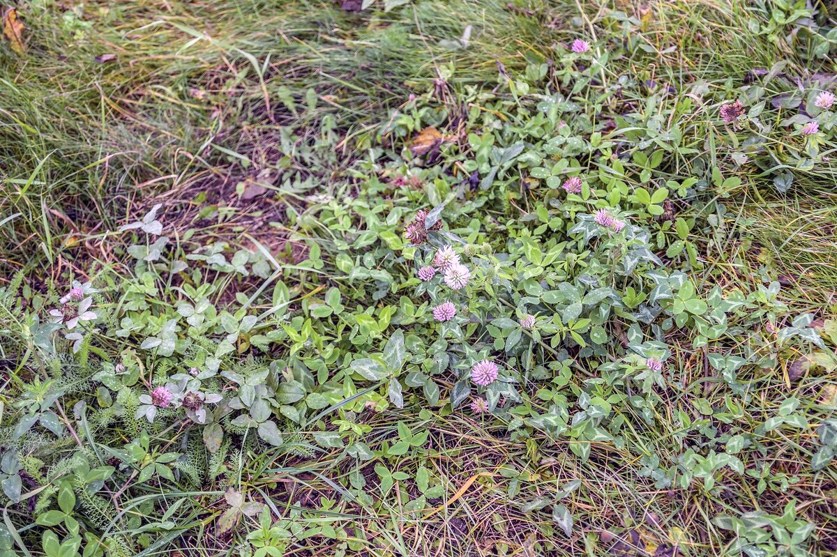 Ноябрьские - Валерий Иванович