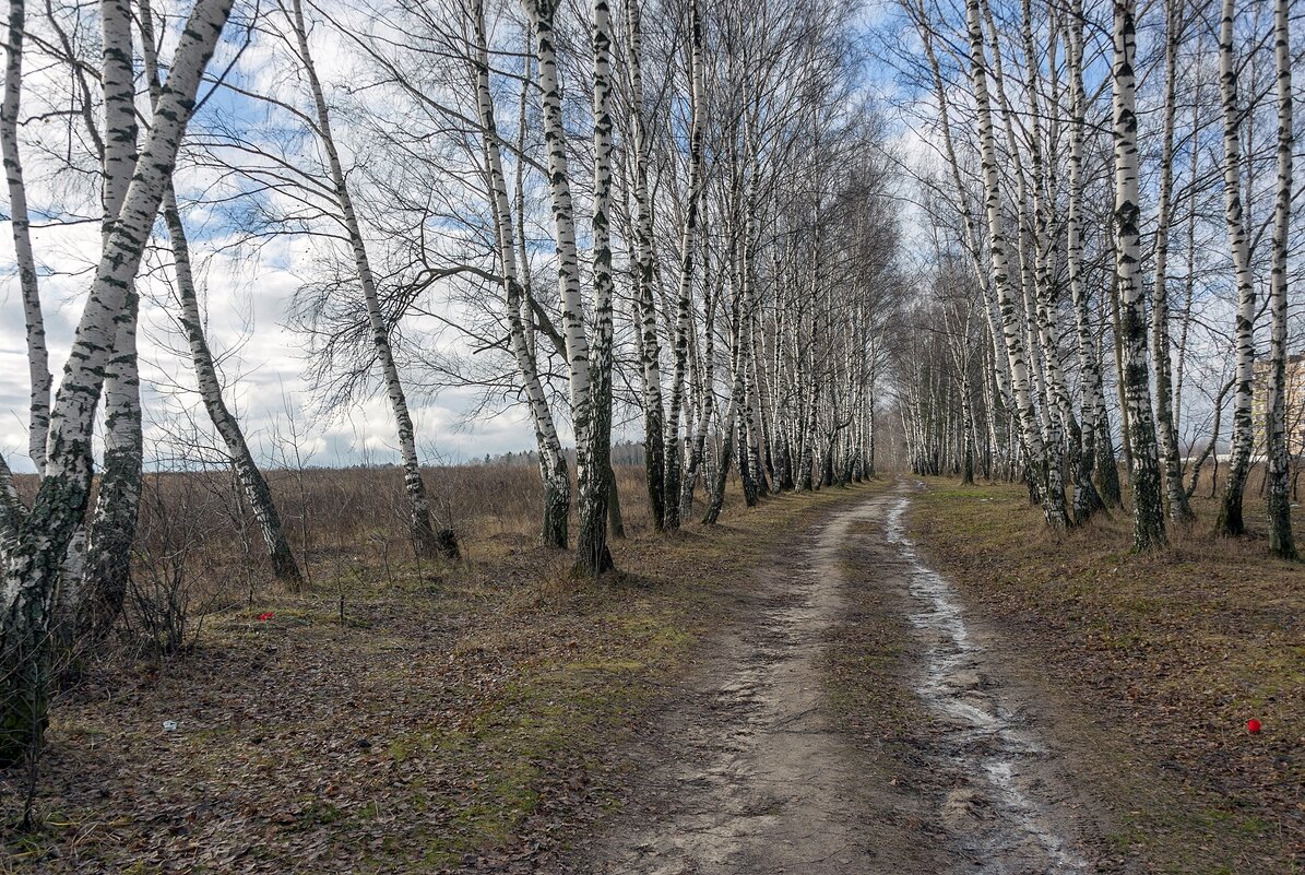 По ноябрьской аллее - Валерий Иванович