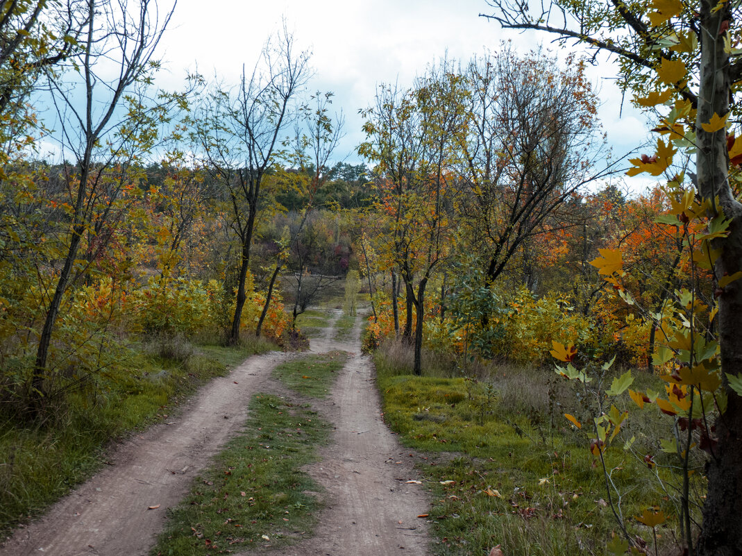 Осень  золотая - Валентин Семчишин