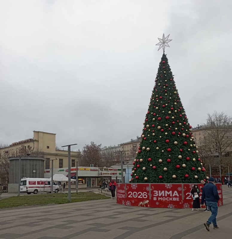 Уже стоят елки - Елена Семигина