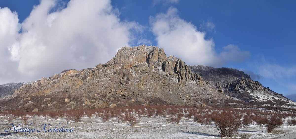 Природа Крыма - Amazing Cosmea