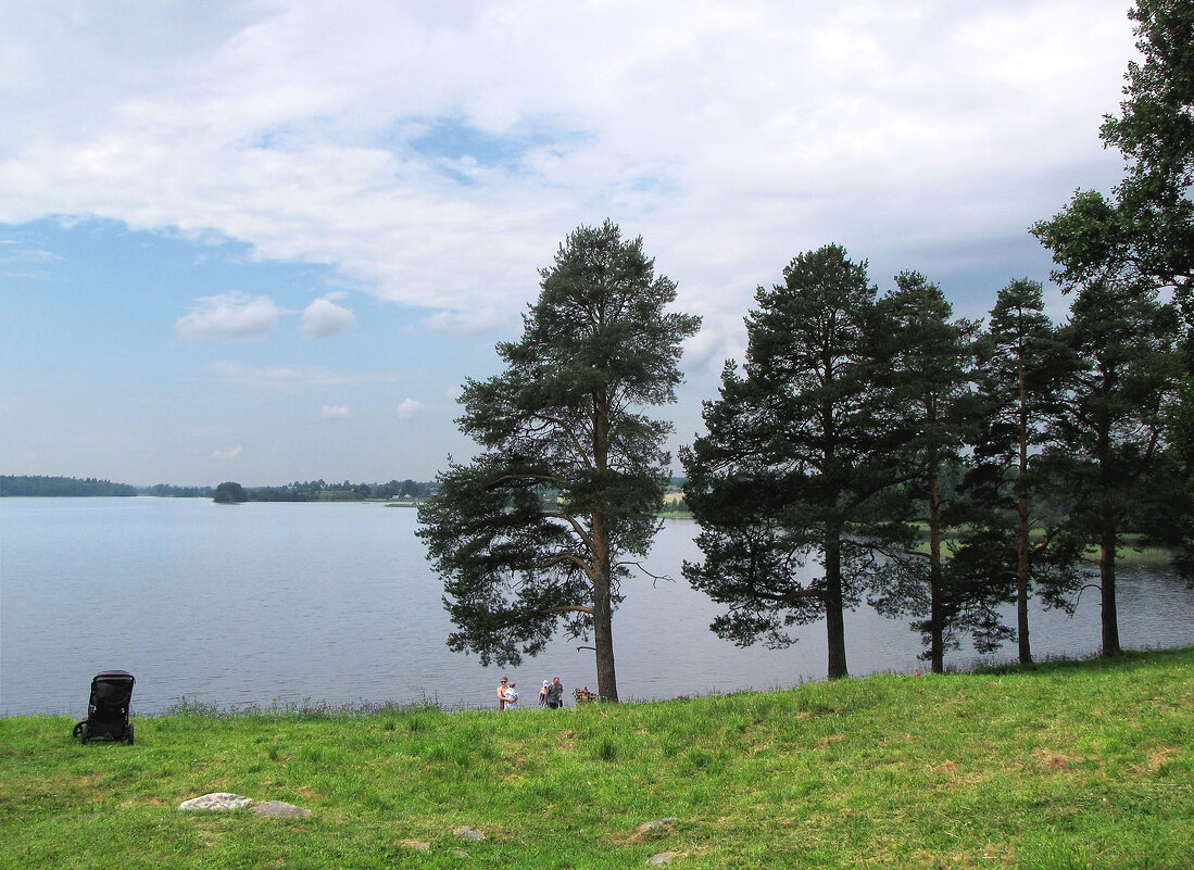 Ферапонтовское озеро - Александр Ильчевский 