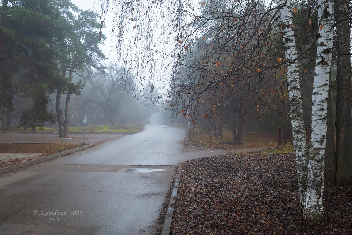 Туманная природа парка - Александр Синдерёв
