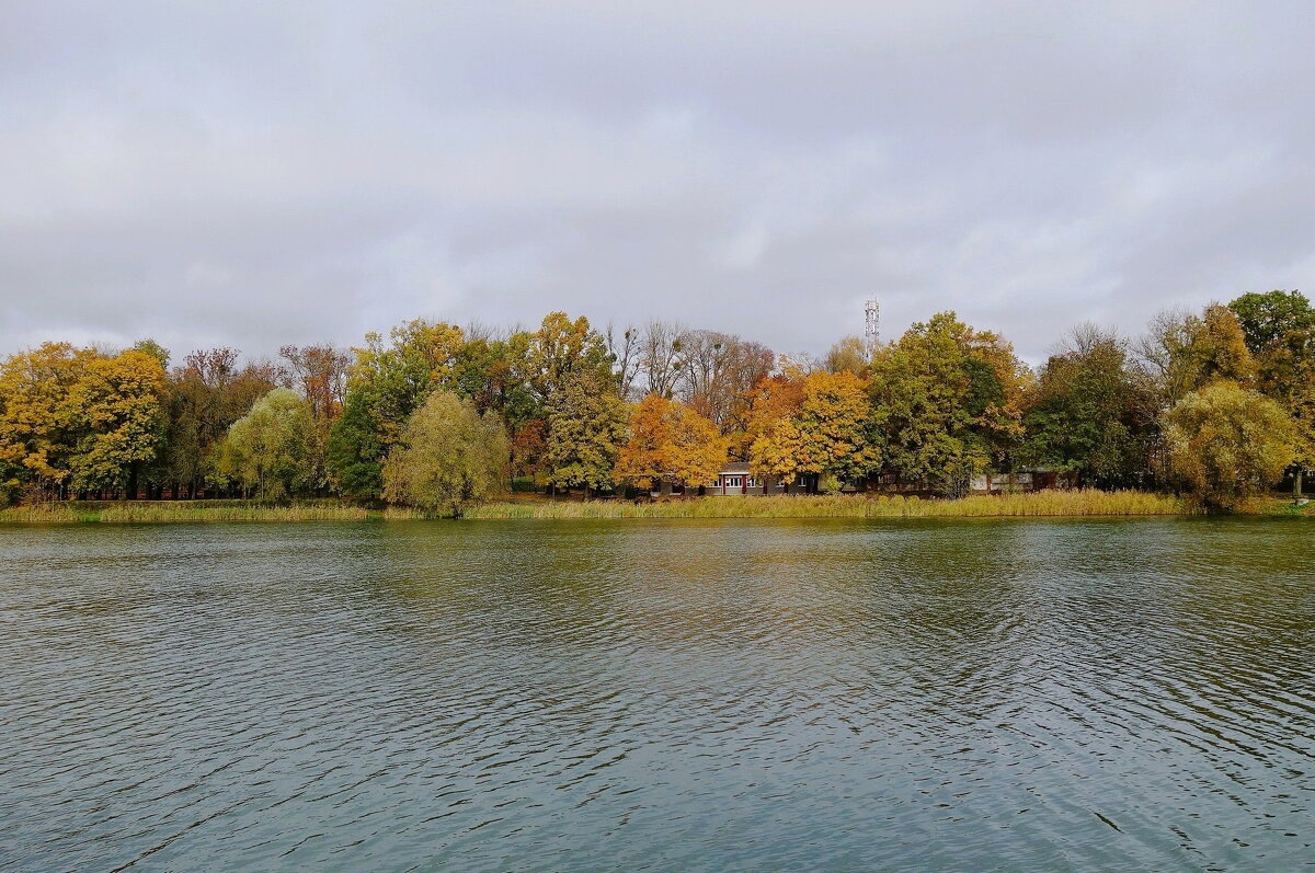 Картинки осени - Рита Симонова